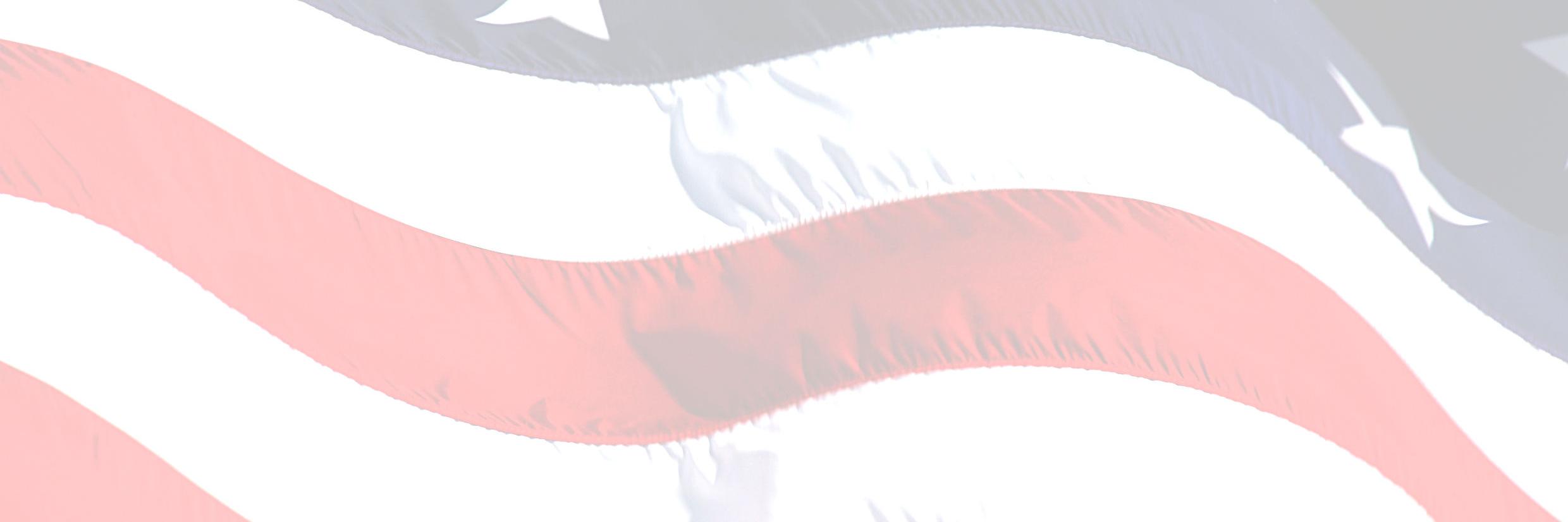 Northview PTSA banner