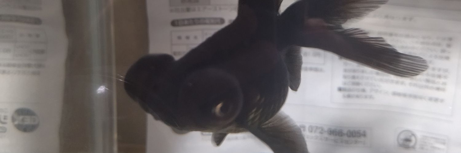 Nishime2525's profile banner image