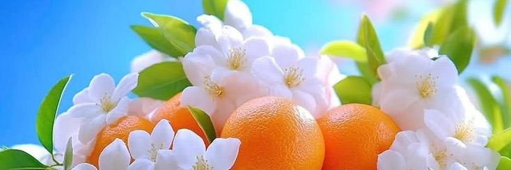 CDZ10236's profile banner image