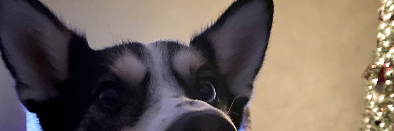 kateybug_'s profile banner image