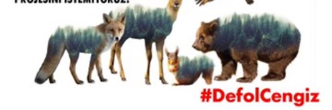 dezozen's profile banner image