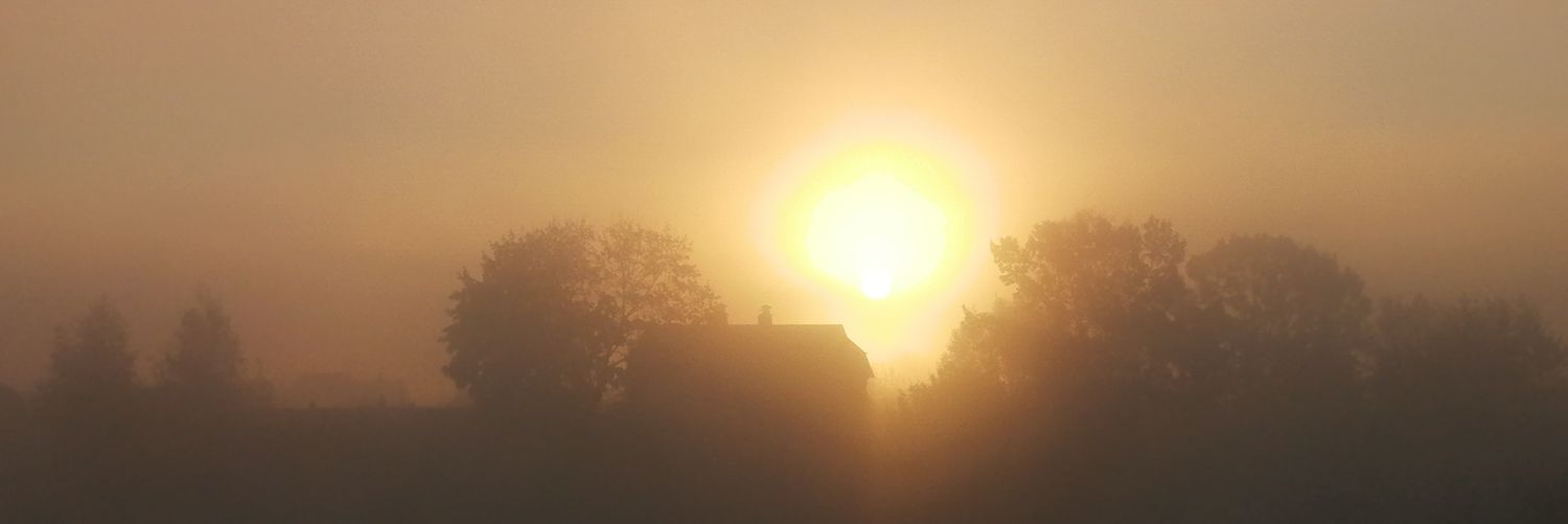 Prius🇧🇾🇷🇺 banner