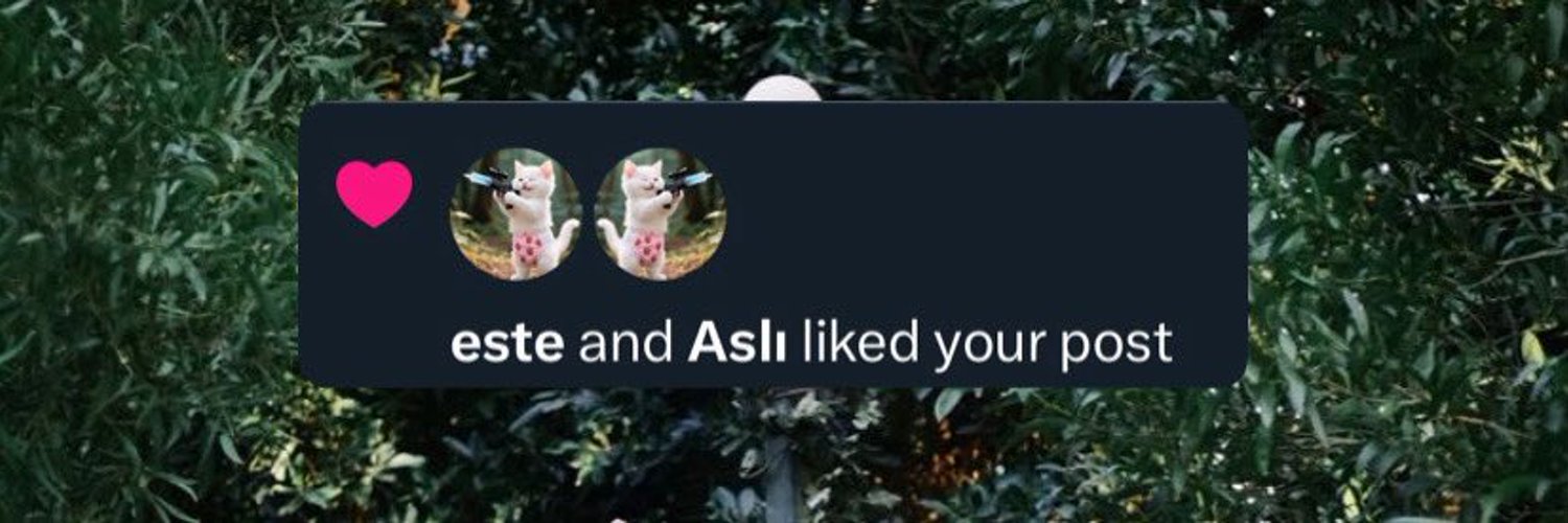Aslı banner