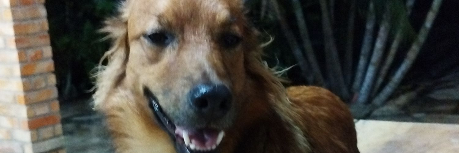 rogledson1's profile banner image