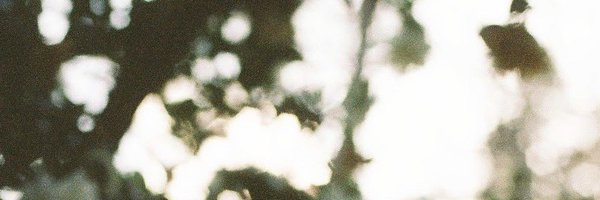 u_xxo2 Profile Banner