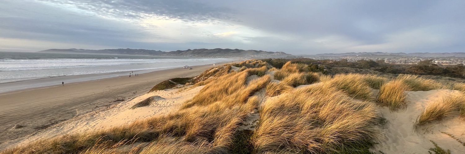 Vincent Griffith banner