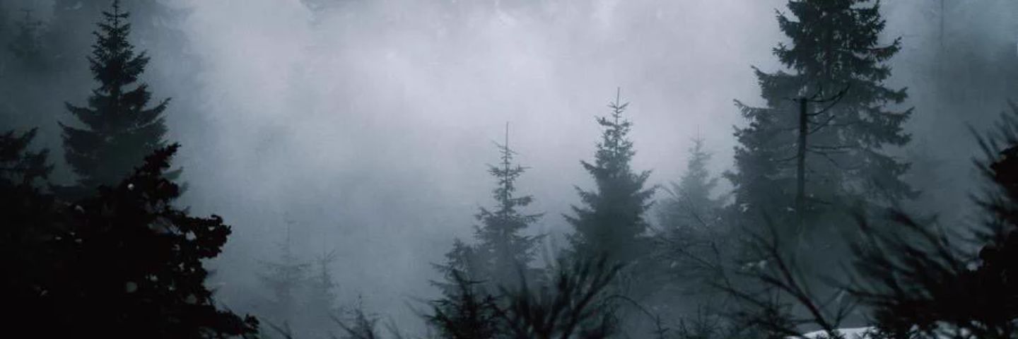 BradyFr3sh's profile banner image