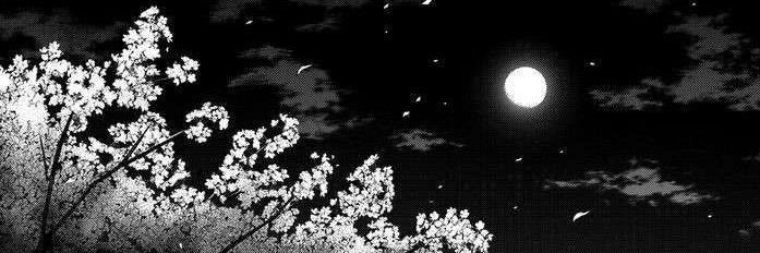 KSAdarling's profile banner image