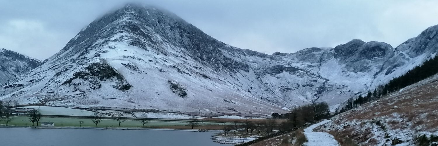 Charlotte Rose banner