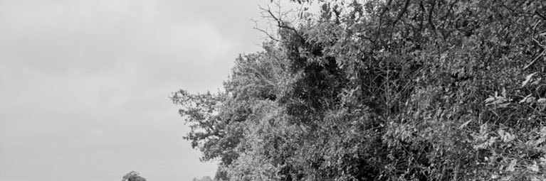 mimiangelss's profile banner image