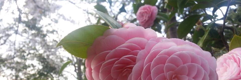 7aala_'s profile banner image