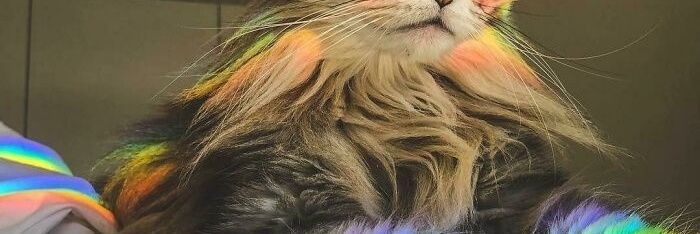 skyyyyyyy008's profile banner image