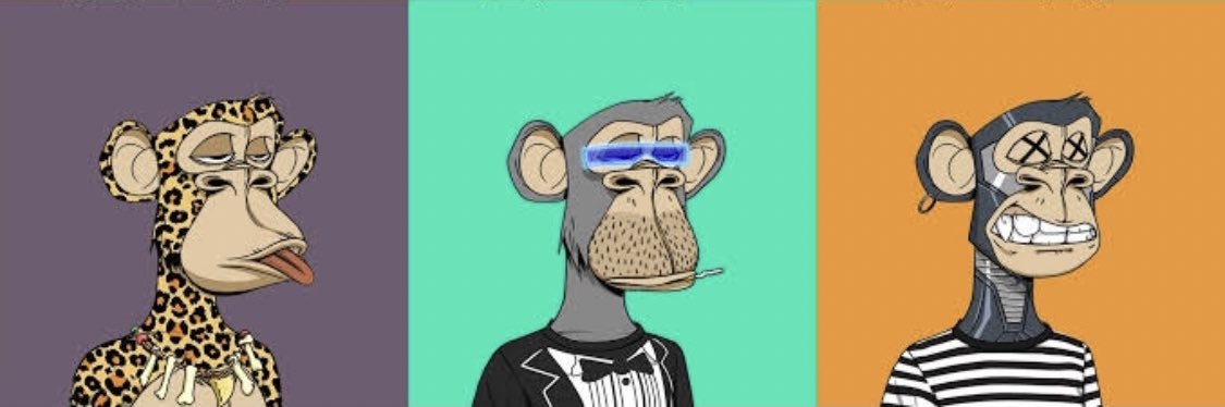 timi_verse's profile banner image