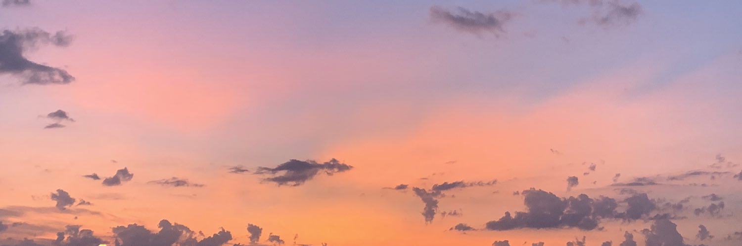 PamelaO333's profile banner image
