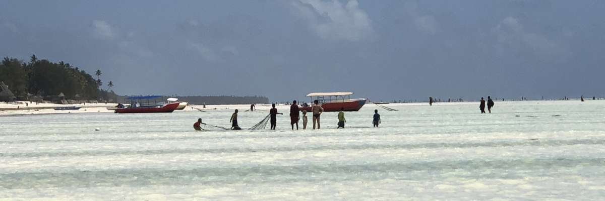 Cool_Beaches's profile banner image