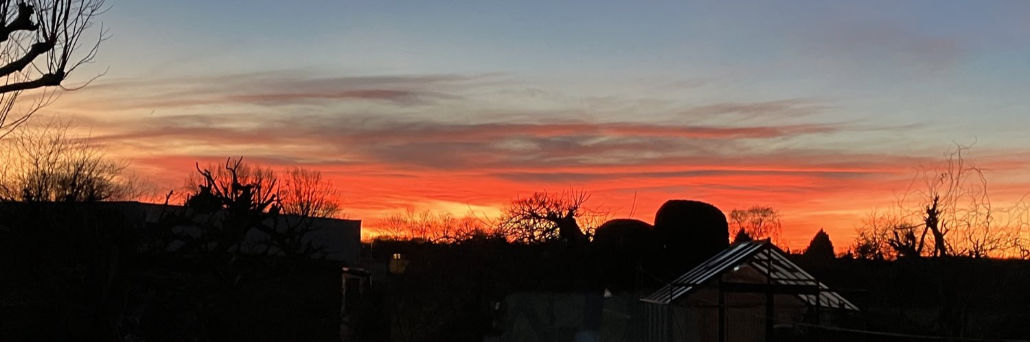 Don’t Blame Me! banner