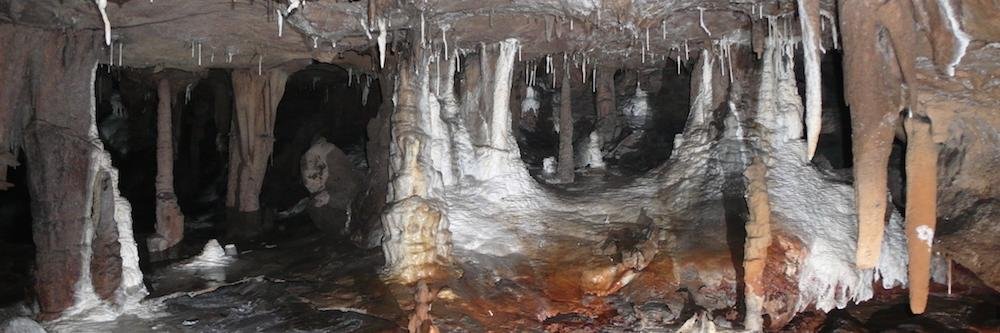 uɐʍɹɐɯ ʇɹǝqɹou 🕊 banner