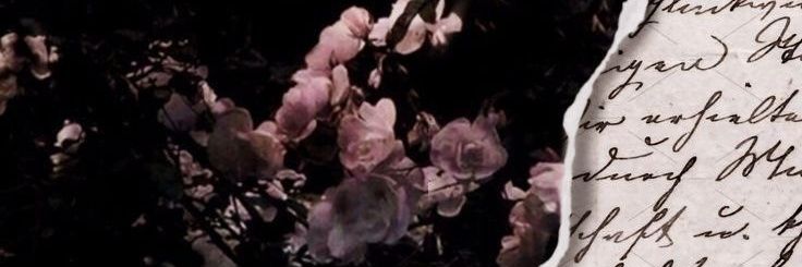 user9247293's profile banner image