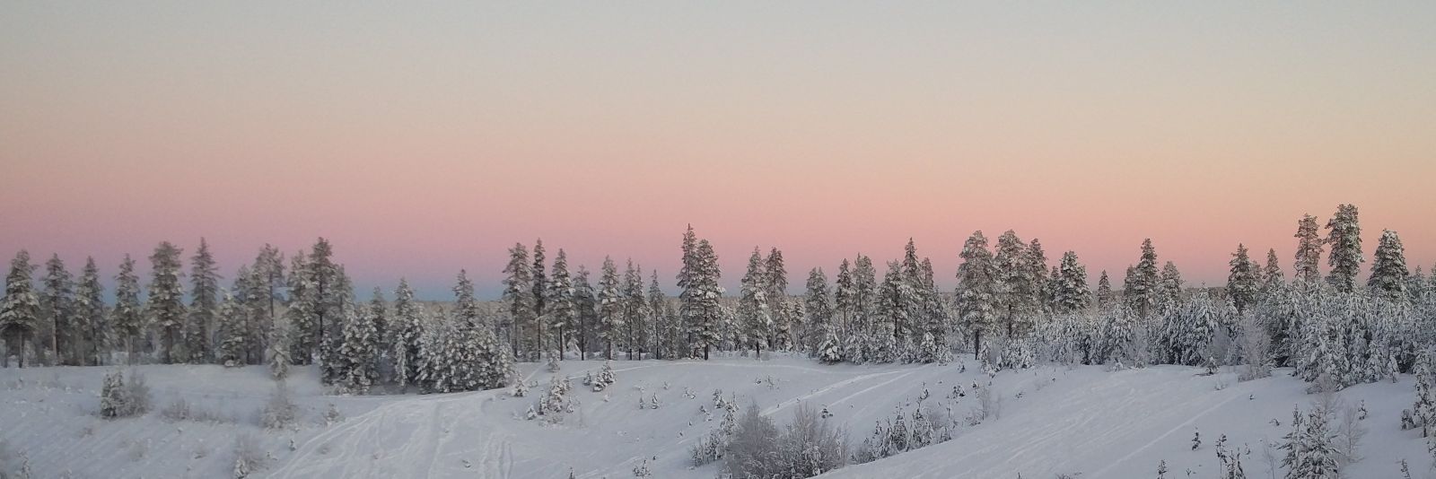 novemberthorne's profile banner image