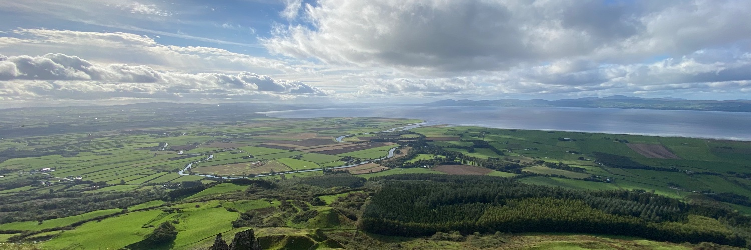 Catherine Allen banner