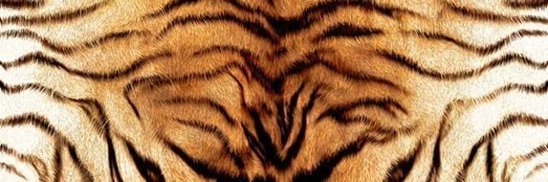 albeckern Profile Banner