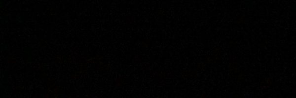 Web3Pet Profile Banner