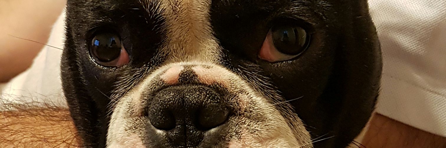 roo_vz's profile banner image
