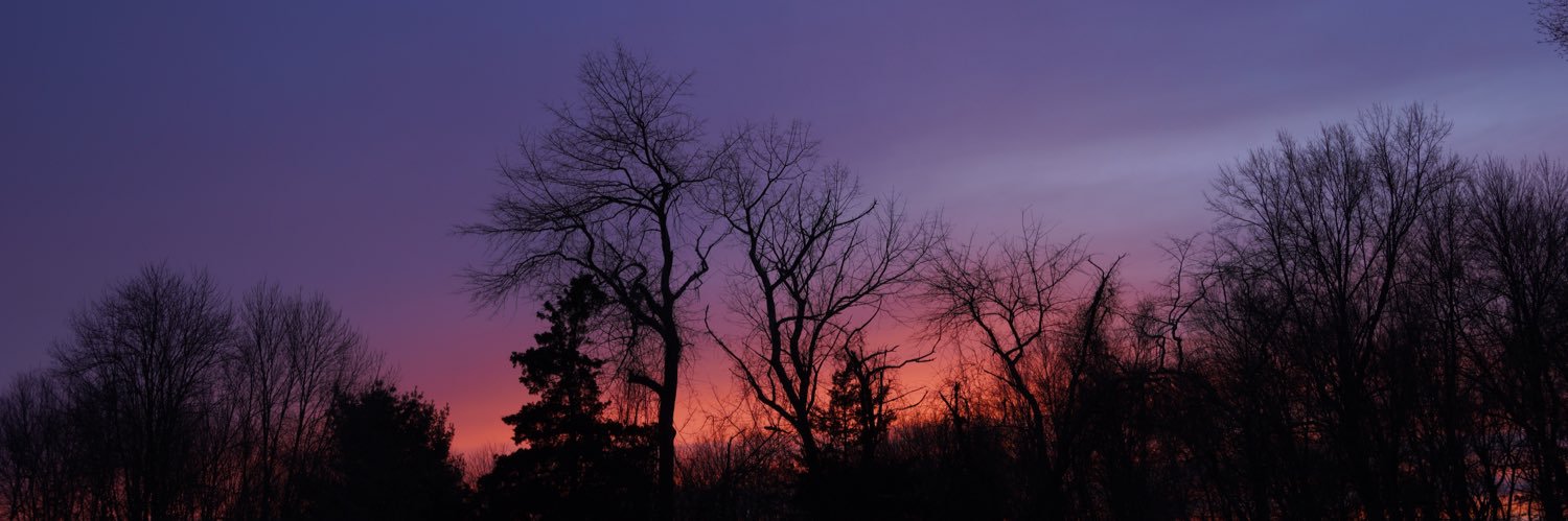 monkeyonthelam's profile banner image