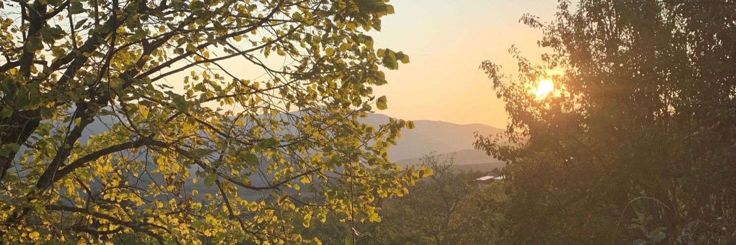 SarahWastlund's profile banner image