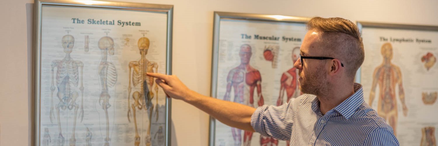 Chris Steffanoni banner