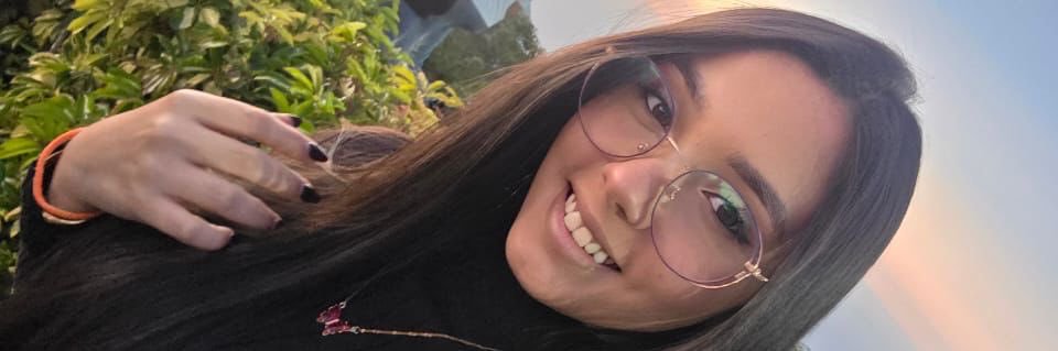 Labeauté du Sud banner