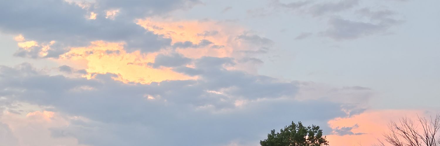 Jarryn Orme banner
