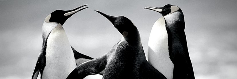SummaEstudio's profile banner image