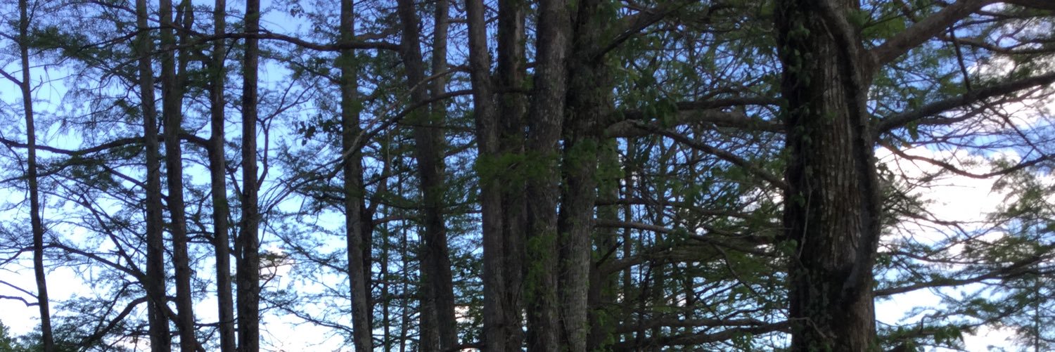 BigelowPhilly's profile banner image