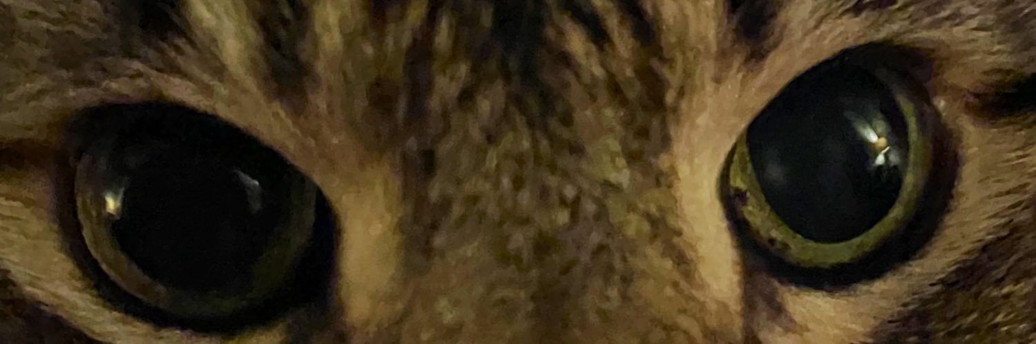 smitty195's profile banner image