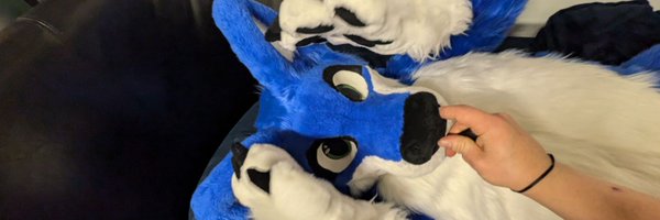 RonWolfBlue Profile Banner