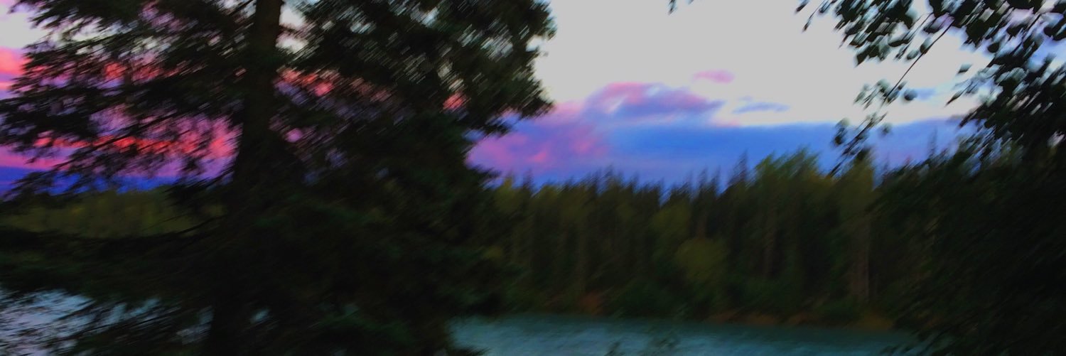 wrongaccount6's profile banner image