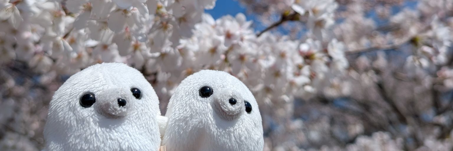 ハナココ banner