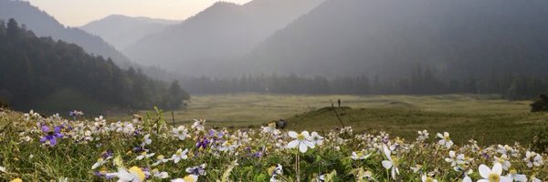 madhavjee Profile Banner