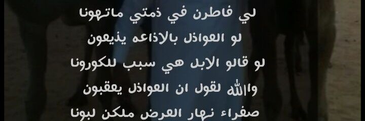 مبارك الشامي السهلي banner