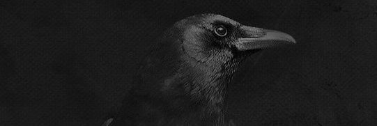 TZveruok's profile banner image