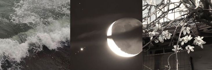 َ banner