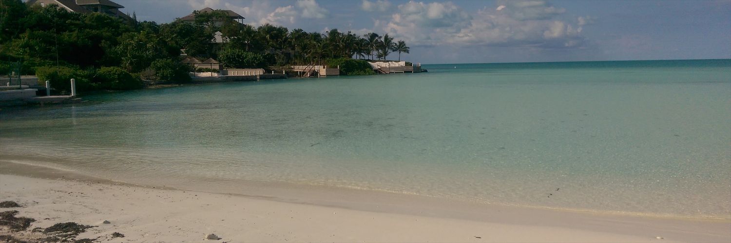 TheRealLOA's profile banner image