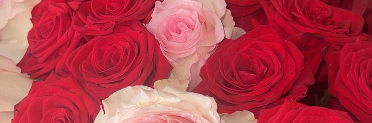 its_barbs's profile banner image
