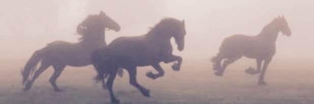 Eric “Rocco” Pignataro Jockey Agent banner