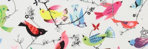 karla_vep's profile banner image