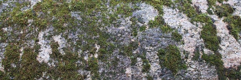 MacKenzieQuin's profile banner image