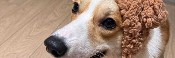 dram0s_ Profile Banner