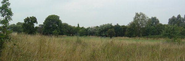 TottenhamGreen Profile Banner