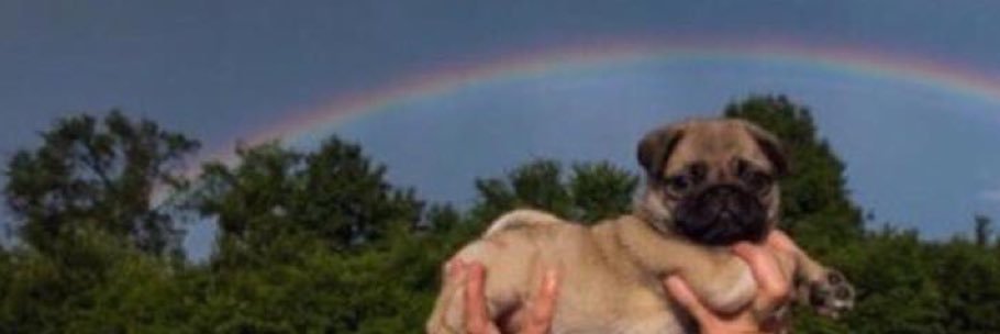 luzaidy_'s profile banner image